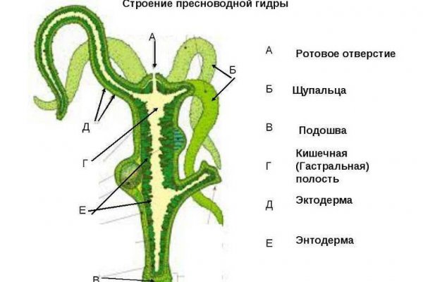 Мега дарнет официальный сайт